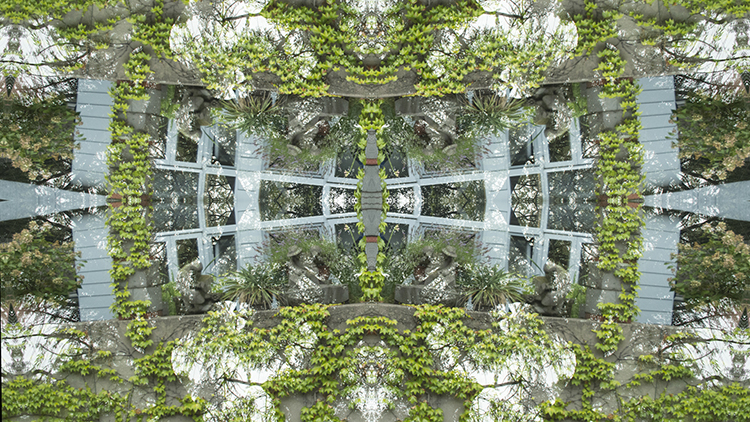 Paysages technologiques 002